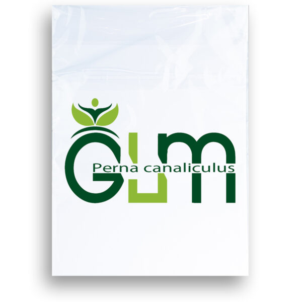 GLM