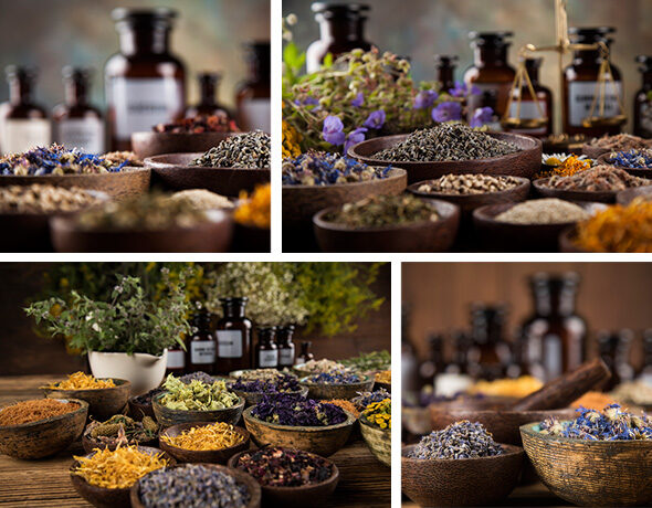 herbgroup herbgroup
